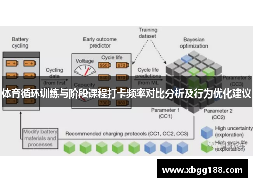 体育循环训练与阶段课程打卡频率对比分析及行为优化建议