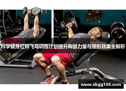 科学健身杠铃飞鸟训练计划提升胸部力量与塑形效果全解析